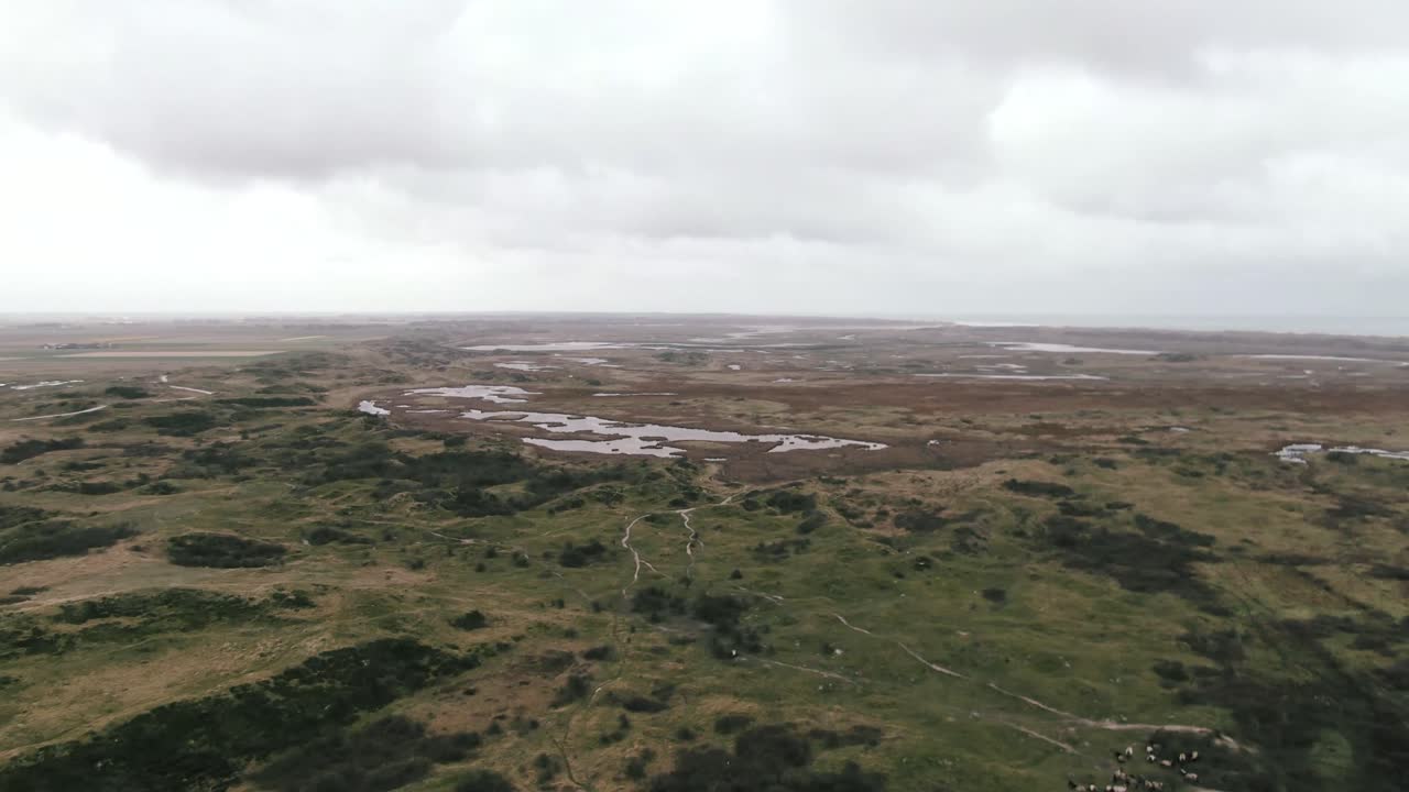 vista panorámica de las marismas en la reserva natural de slufter en la isla de texel en holanda, países bajos
