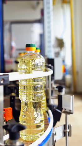 bottle with sunflower oil on the conveyor. bottles of olive oil travelling along the production line inside a factory for the production of edible oils vertical video