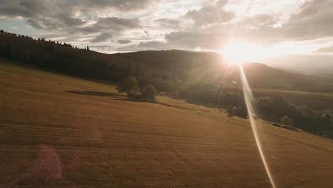 aerial footage from an action camera flying low into the sunset approaching lone trees and turning up the hill covered in yellow dry grass