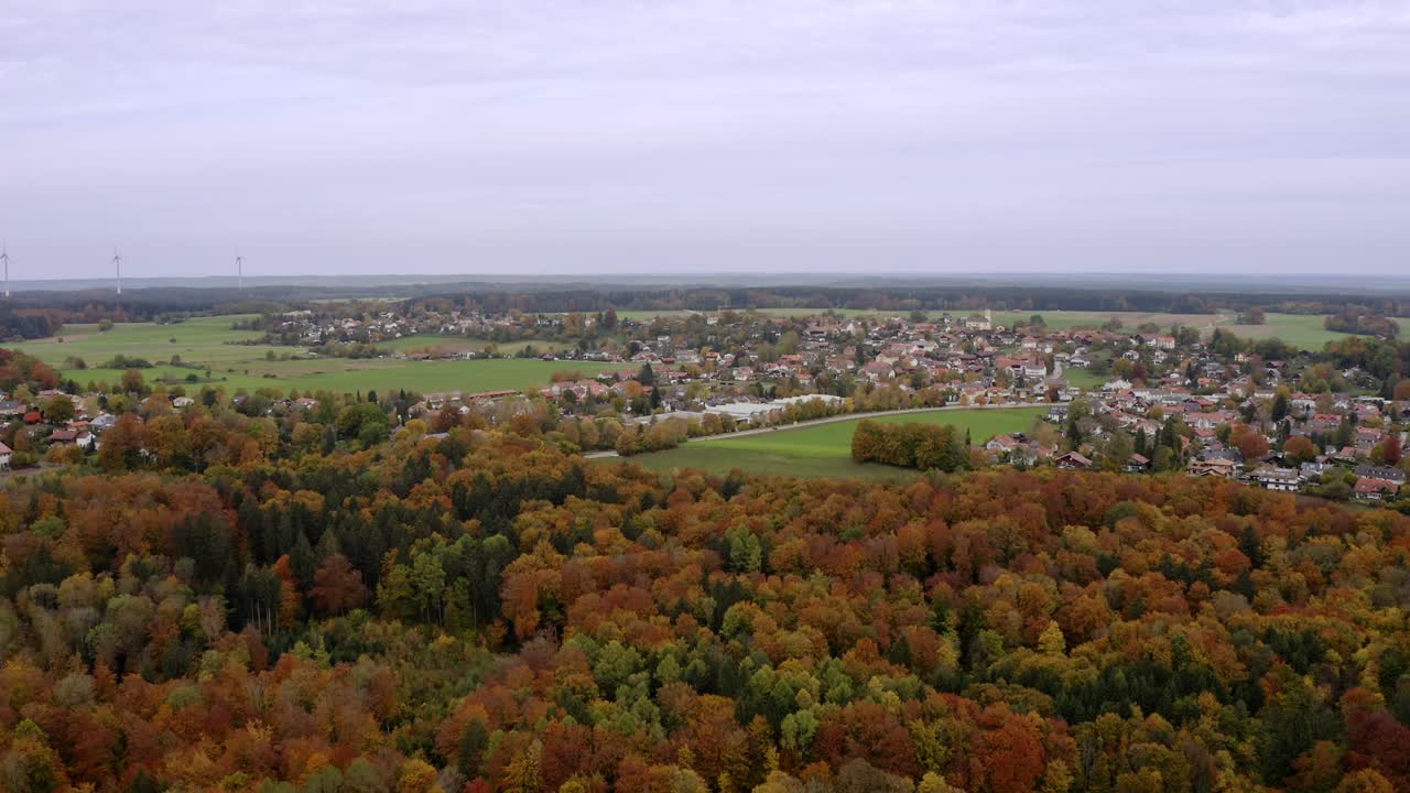стабилизированный вид с высоко расположенного дрона на маленькую деревню рядом с осенним лесом с несколькими движущимися автомобилями в качестве движущихся элементов на заднем плане
