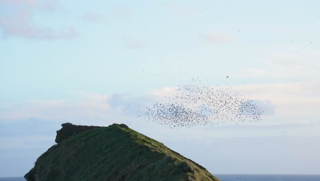 vuelo sincronizado de estorninos en el cielo, hipnotizante vista hacia arriba de murmullo