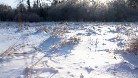 a wave like movement indicating uneven grounds of a snow covered meadow in nature