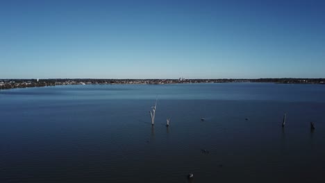 antena de drones acercándose hacia la tierra con árboles muertos saliendo del lago azul en yarrawonga en un día soleado