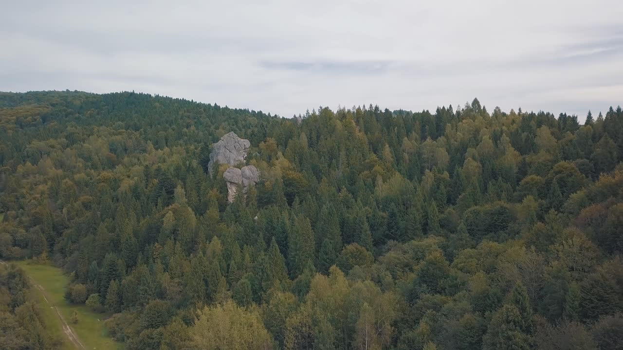 impresionante toma de avión no tripulado de las colinas de las montañas en el bosque. otoño. vista aérea