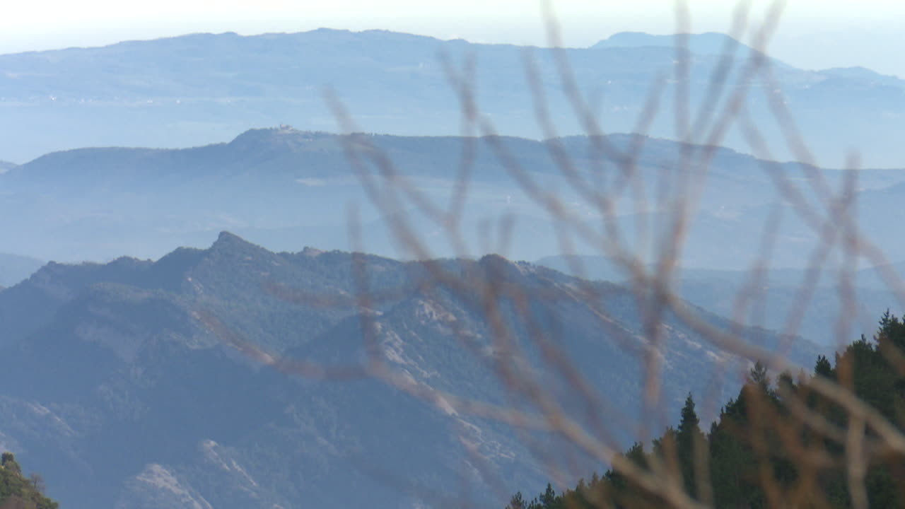 Misty Mountain View with Branches
