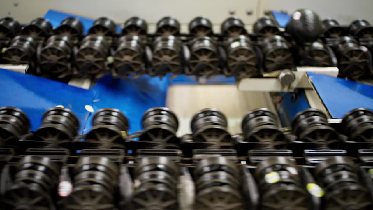 Avocados travel on a treadmill conveyor belt inside a modern avocado processing factory