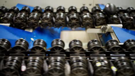 avocados travel on a treadmill conveyor belt inside a modern avocado processing factory