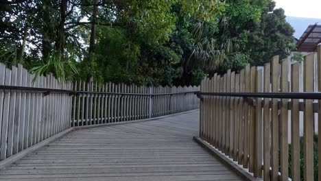 wooden bridge surrounded by lush greenery