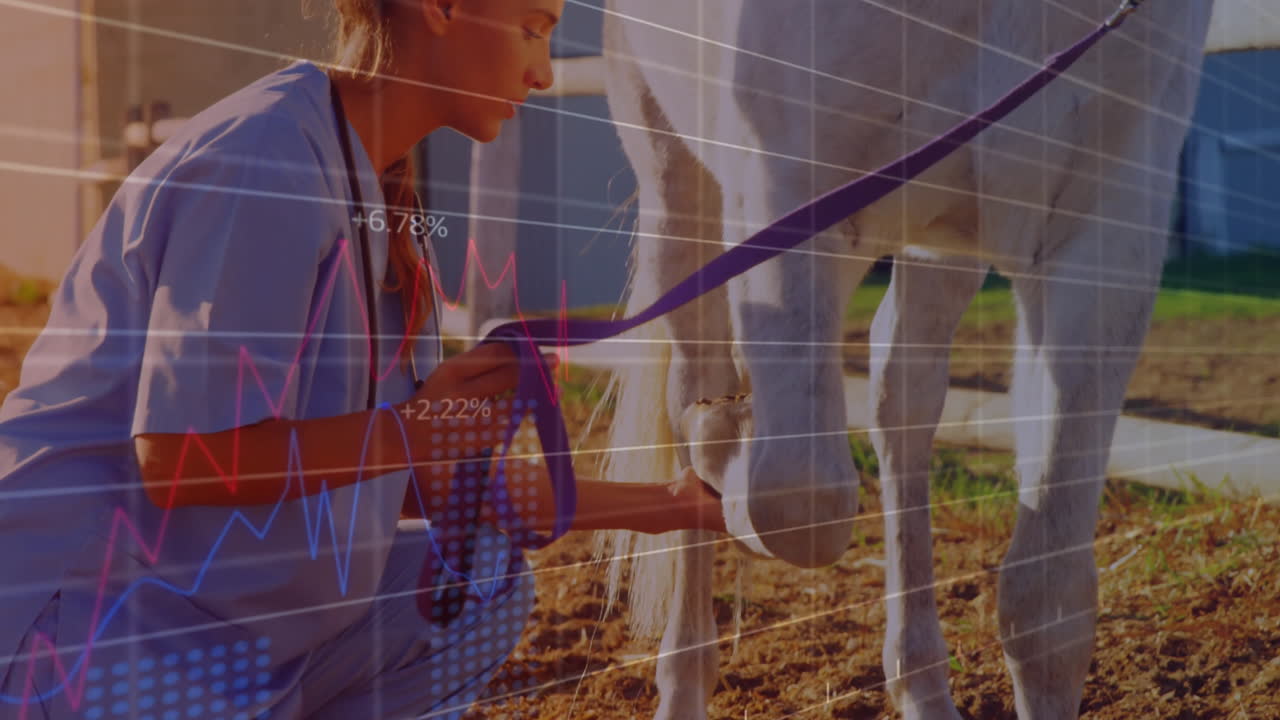 Veterinarian examining horse with financial data processing animation over scene