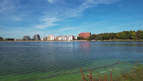 polluted water surrounding shores of tirana artificial lake from residential wastewater discharges near park