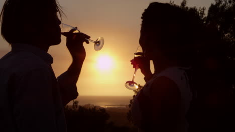 Romantic-couple-make-a-toast-and-admire-the-sunset,-shot-on-R3D
