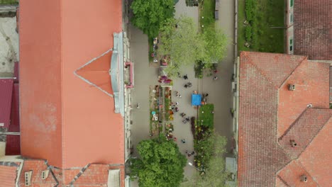 Aerial-shot-flying-over-an-alley-in-Novi-Sad,-Serbia-on-an-overcast-day