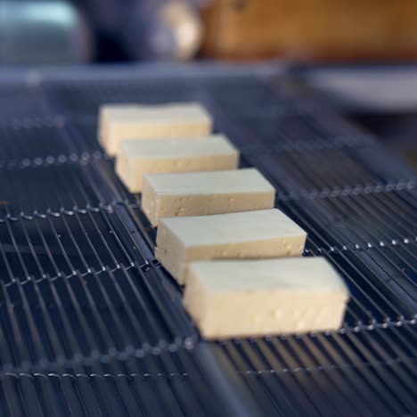 Tofu blocks on a conveyor belt