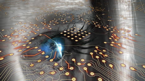 Animation of integrated circuit over blue eye of caucasian woman