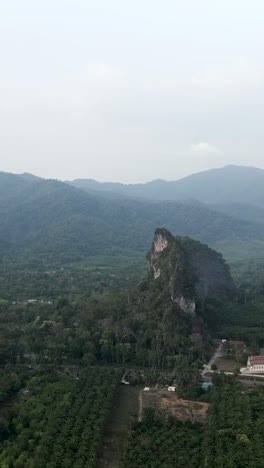 Scenic Mountain Landscape with Lush Forest