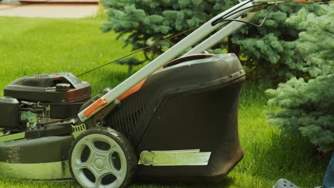 lawn mower cutting the grass. gardening activity. cutting grass with petrol driven lawn mower in sunny garden. gardener working with  mower machine in the garden. lawn mower cutting green grass