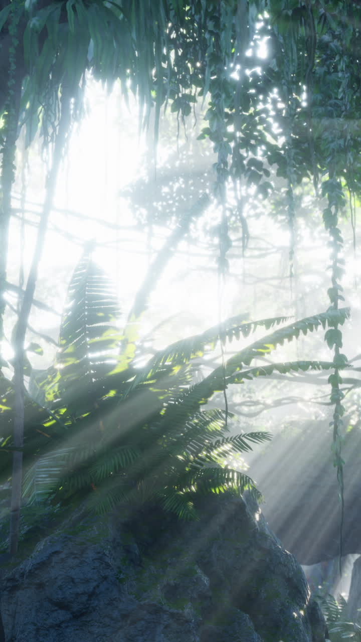 la luz del sol a través de la jungla