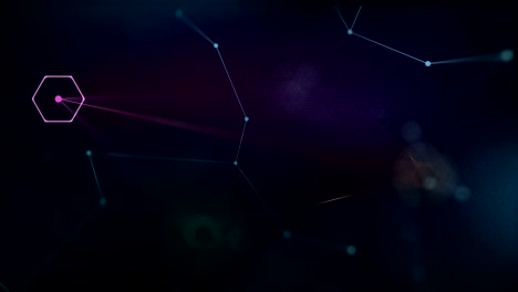 network