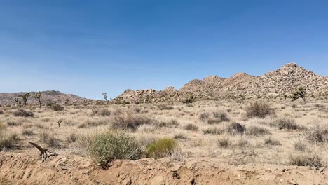 view of rocky desert and sparse vegetation near palm springs and joshua tree, filmed from a moving vehicle