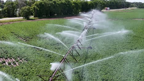 un campo agrícola en el centro de wisconsin es irrigado con un sistema de rociadores