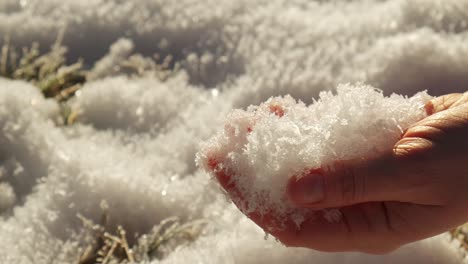 Mujer-Mano-Sosteniendo-Nieve-Mostrando-Copos-De-Nieve-En-El-Sol-Invierno-Paisaje-Lenta-4k