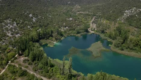 aerial: green plantations and lake in croatia