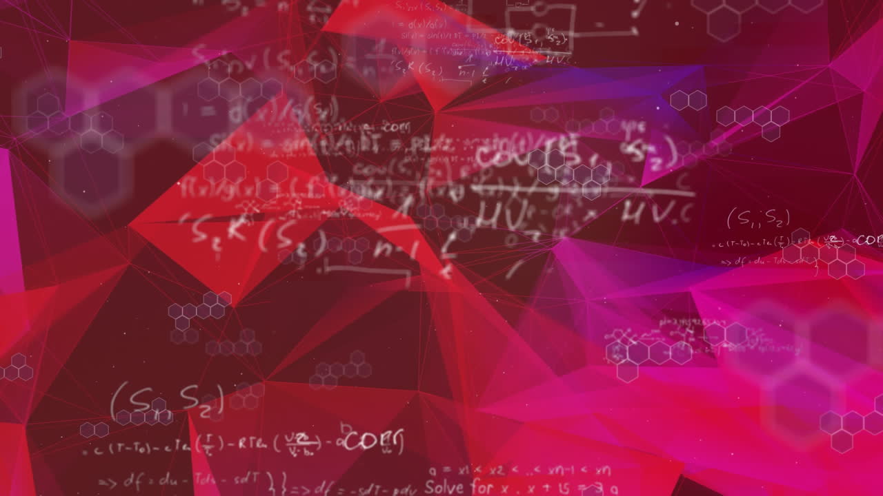 플렉서스 네트워크에 대해 떠다니는 수학 방정식