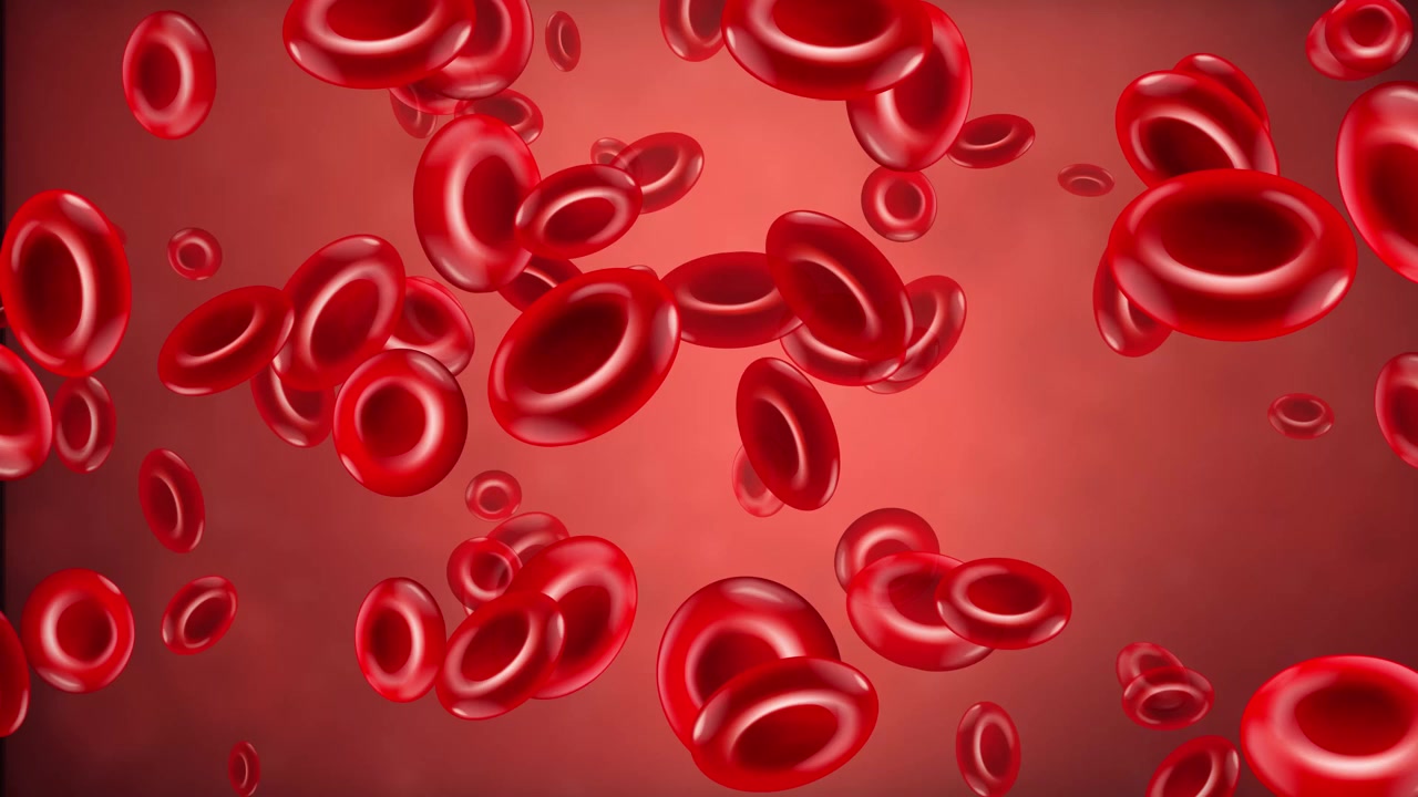 Animated red blood cells flow steadily through a red plasma background in a seamless loop.