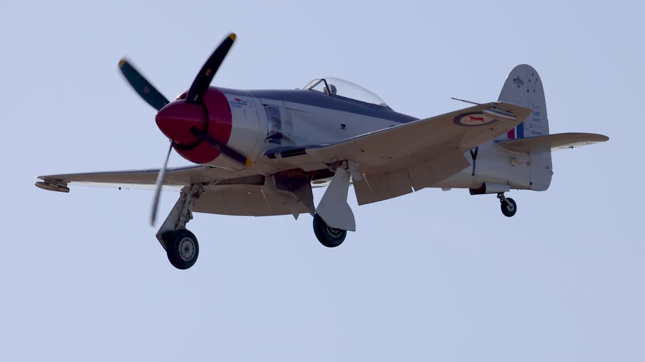 A classic warbird aircraft flies gracefully against a clear sky, showcasing its retractable gear and radial engine