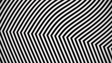 a creative abstract black and white painting bendy line geometry optical illusion element zebra style trippy monochrome design art pattern texture illustration backdrop background