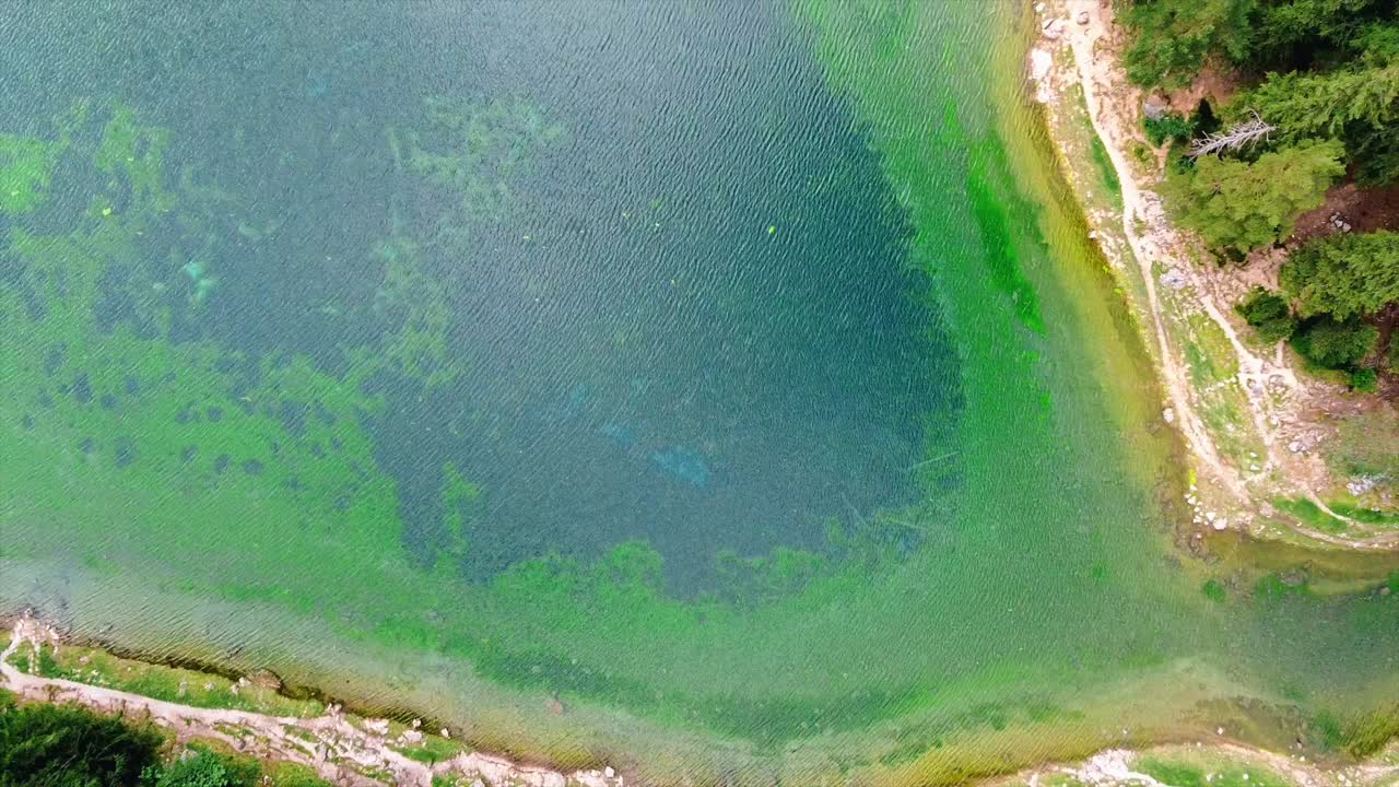 ареал - зеленое озеро стирия австрия - снимок с высоты птичьего полета, стрела вверх