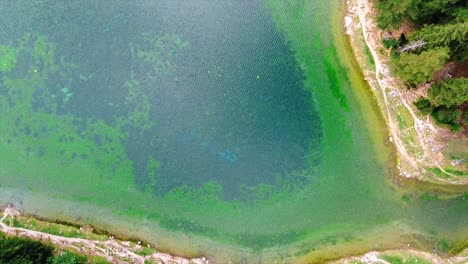 areal - lago verde styria austria - tiro de vista de pájaro, boom up