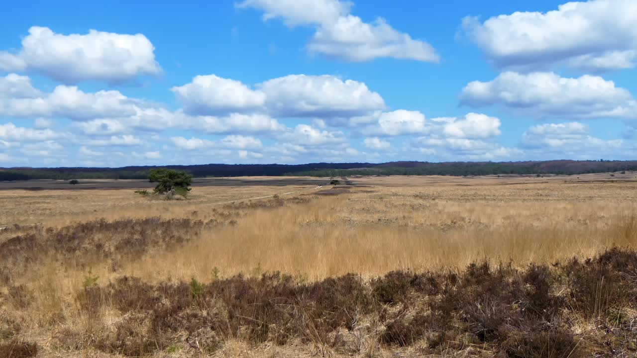 Clouds drift by, casting their shadow over dry grassland
