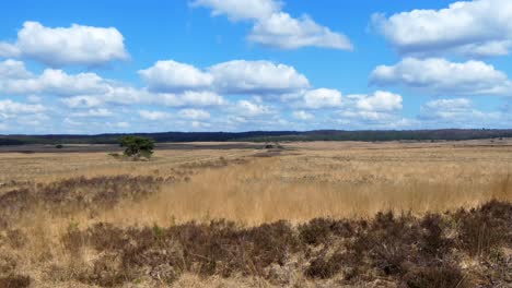 Wolken-Ziehen-Vorbei-Und-Werfen-Ihren-Schatten-Auf-Trockenes-Grasland