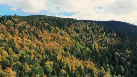 Aerial-view-over-beautiful-automnal-mountain-forest,-slow-fly,-4K