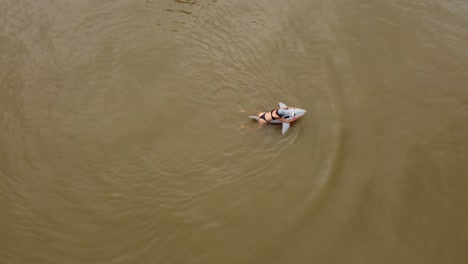 una toma de órbita dinámica de una mujer nadando en un bikini montando en un juguete de agua de tiburón inflable