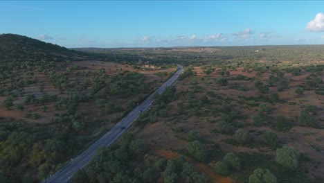 Gerade-Einbahnstraße-Inmitten-Von-Steineichenhainen-In-Los-Pedroches,-Cordoba