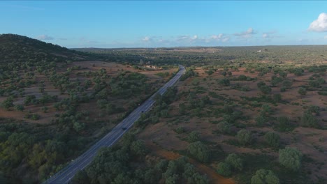 straight two way road in middle of holm oak groves in los pedroches, cordoba