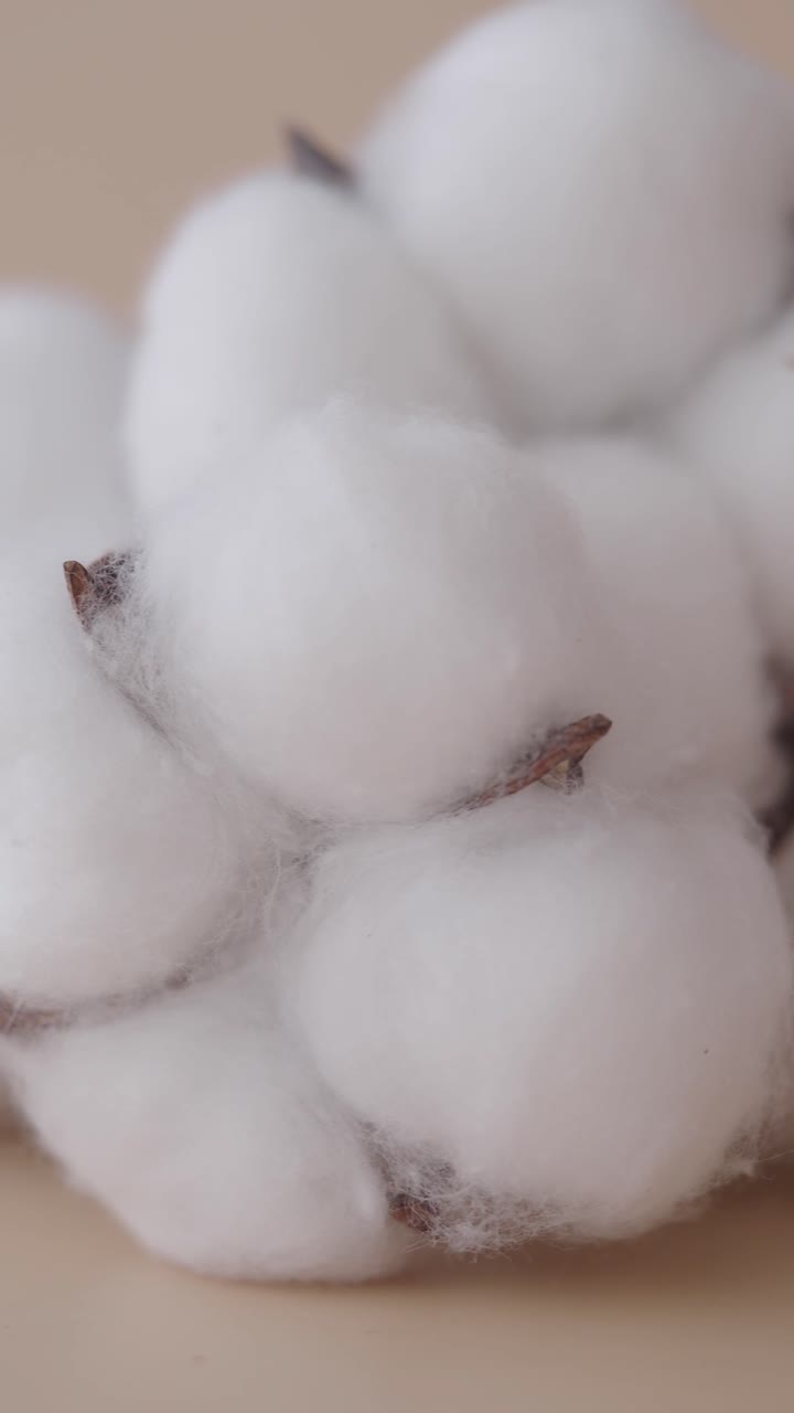 Primo piano di soffici capsule di cotone bianco che ruotano