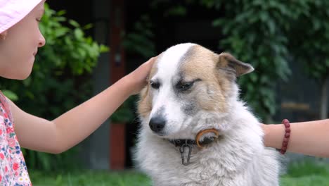 little girl with mother petting dog outdoors