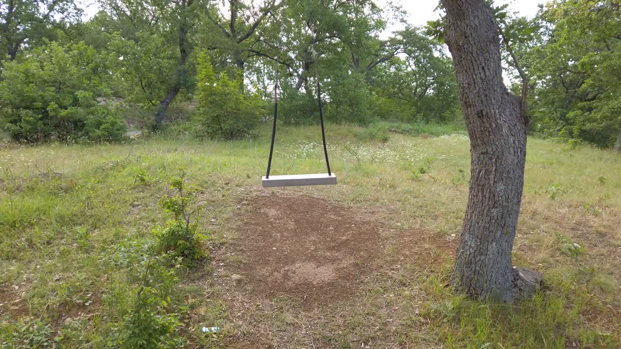 Un'altalena di legno vuota nel bosco, tra la vegetazione verde. Alberi, cespugli, un prato con erba verde in una soleggiata giornata estiva.