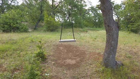 approximation of empty wooden swing in the forest, among green vegetation. trees, bushes, a meadow with green grass on a sunny summer day