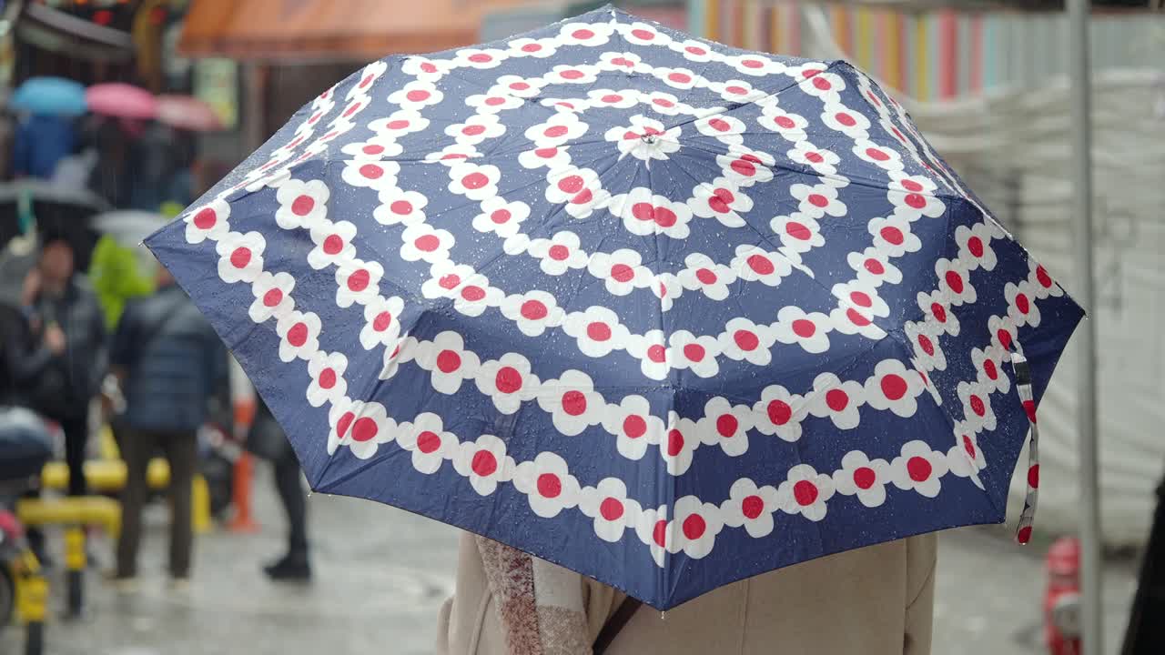 Person holding a floral patterned umbrella in the rain on a street