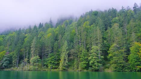 konigssee alpine lake idyllic coastline cliffs view, berchtesgadener land, bavaria, germany