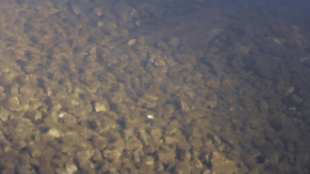 Toronto, Canada - Stones Seen Under The Crystal Clear Water - Closeup Shot