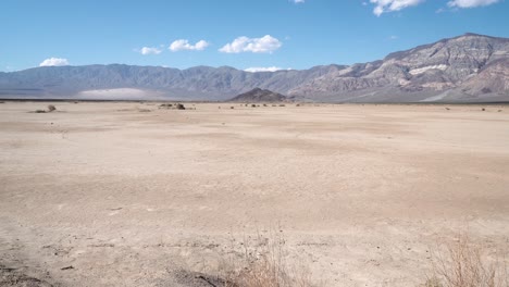 death valley in mojave desert, california with grasses and stones, aerial dolly in shot