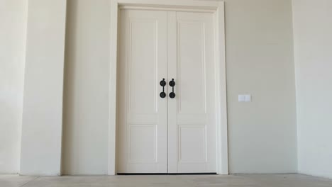woman in skeleton costume emerging from a smoky door
