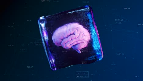 frozen brain in ice cube