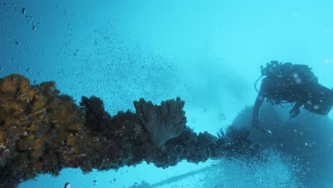 unique view of a scuba diver swimming around an underwater artificial wonder reef structure