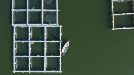 por encima de la piscifactoría de piscicultura en el lago, persona caminando en el marco hacia el barco, día soleado